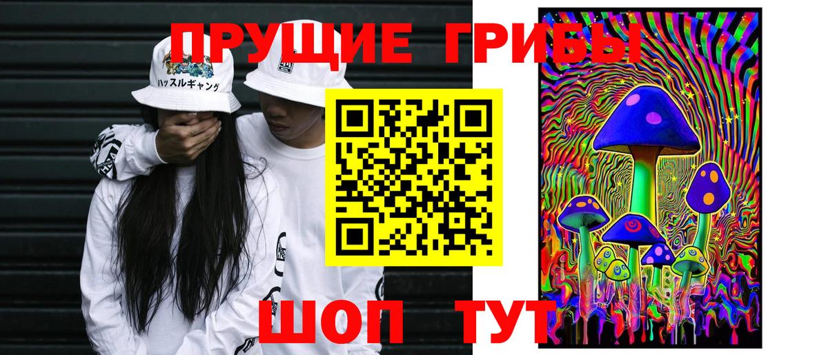 Галлюциногенные грибы Медногорск