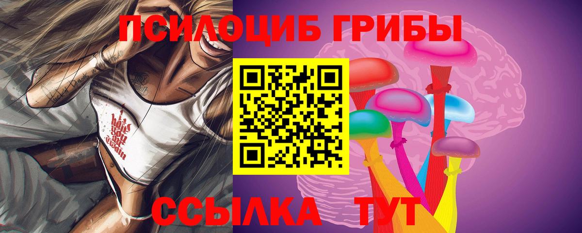 Медногорск  Псилоцибиновые грибы Cubensis  Вход с VPN 